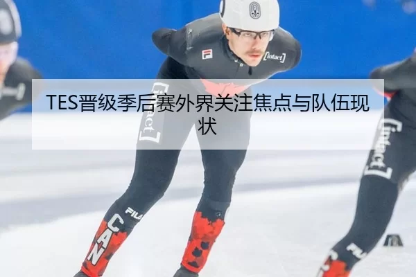 TES晋级季后赛外界关注焦点与队伍现状